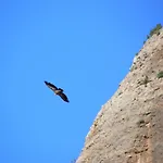 Natura Jordan *
