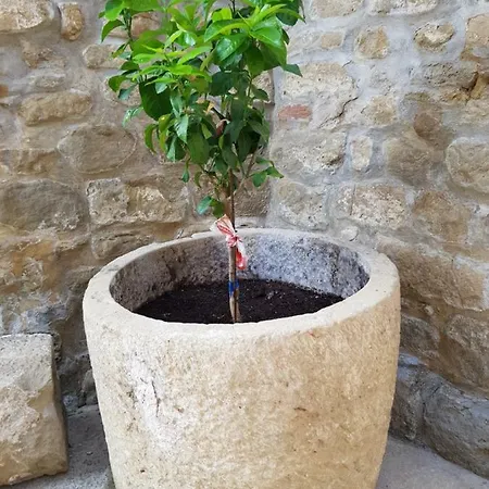 Feriehus Natura Jordan *