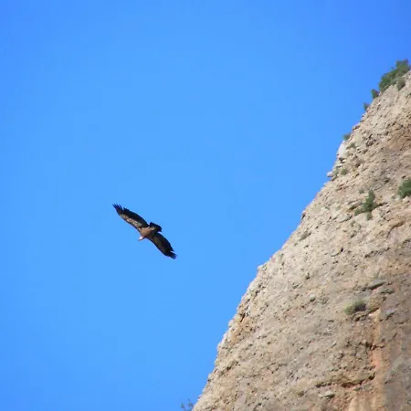 Natura Jordan *