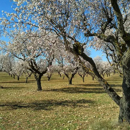 Natura Jordan Feriehus *