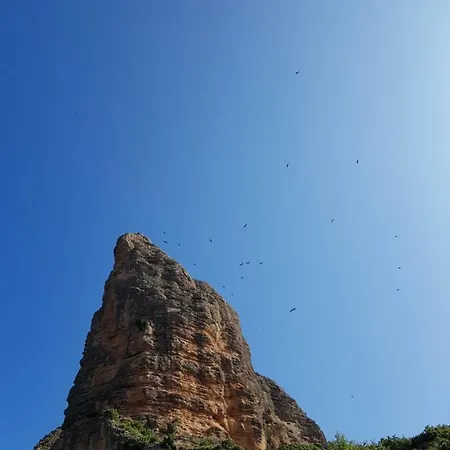 Natura Jordan Murillo de Gállego