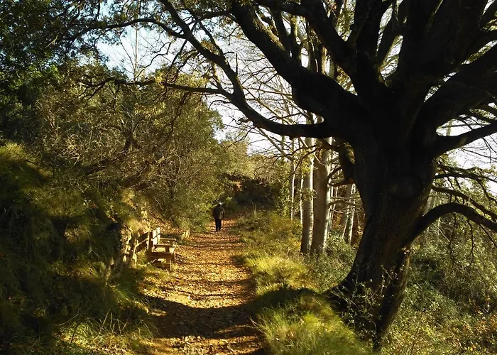 Natura Jordan Casa vacanze *