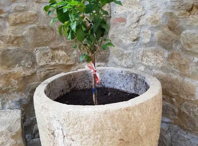 Casa vacanze Natura Jordan *