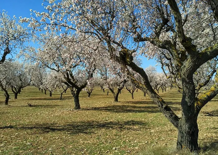 Natura Jordan Σπίτι διακοπών *