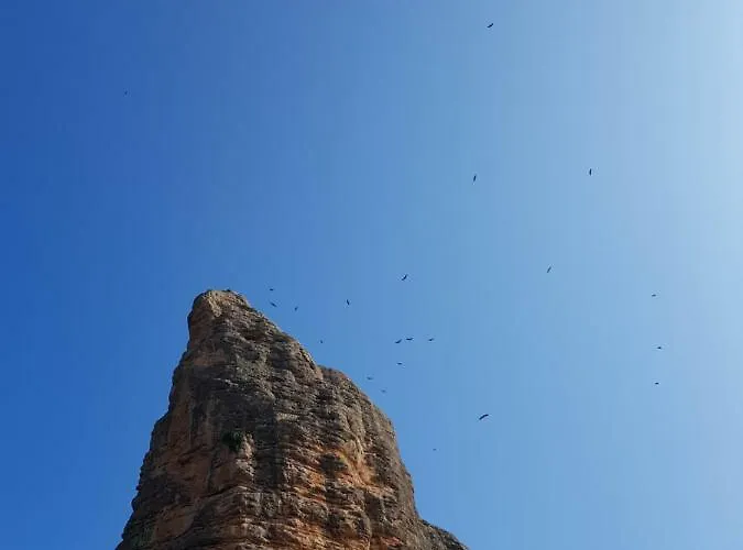 Natura Jordan Murillo de Gállego